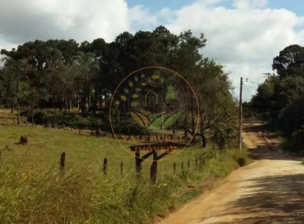 Fazenda - Foto 10