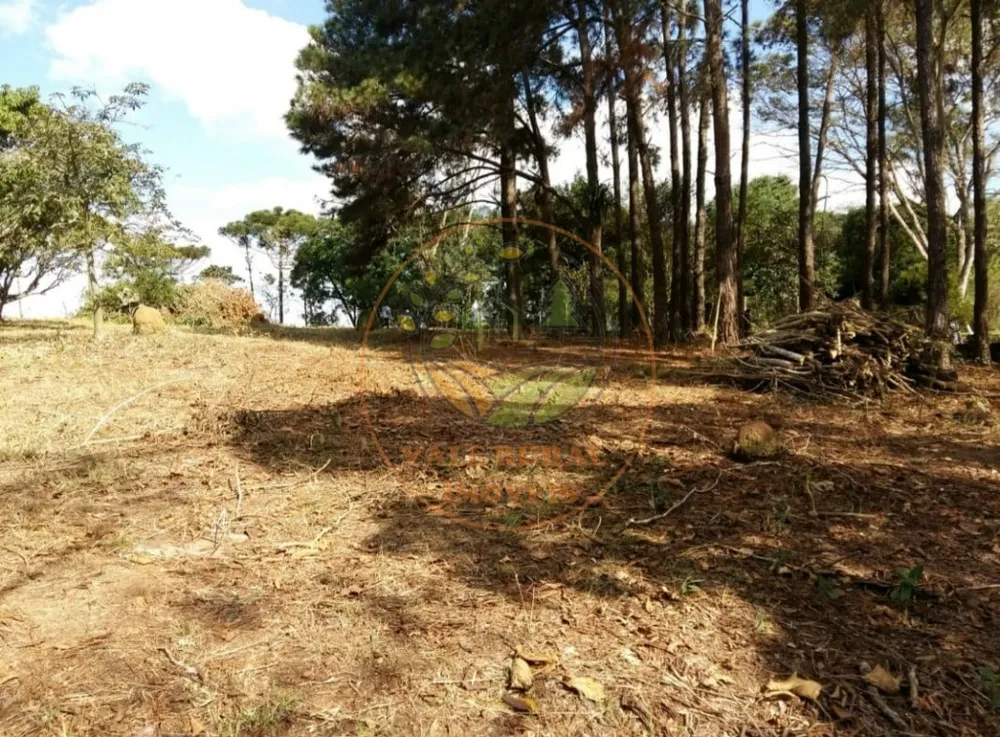 Fazenda - Foto 7