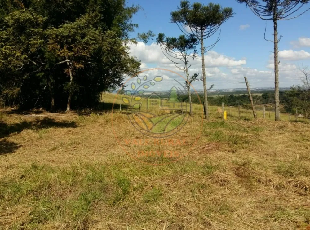 Fazenda - Foto 4