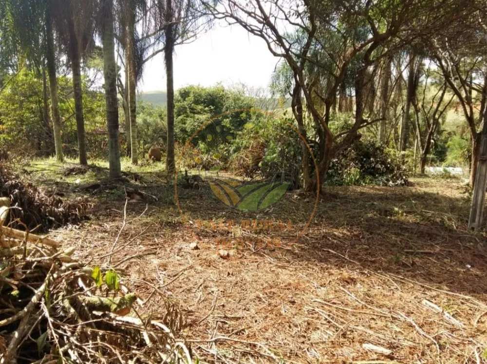 Fazenda - Foto 9