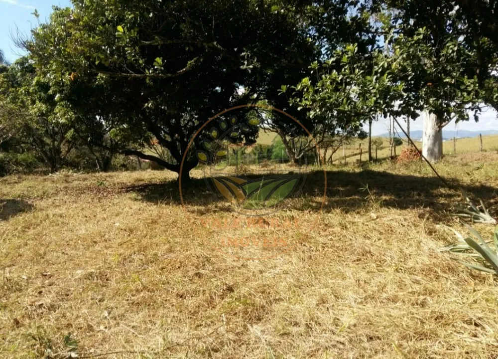 Fazenda - Foto 3