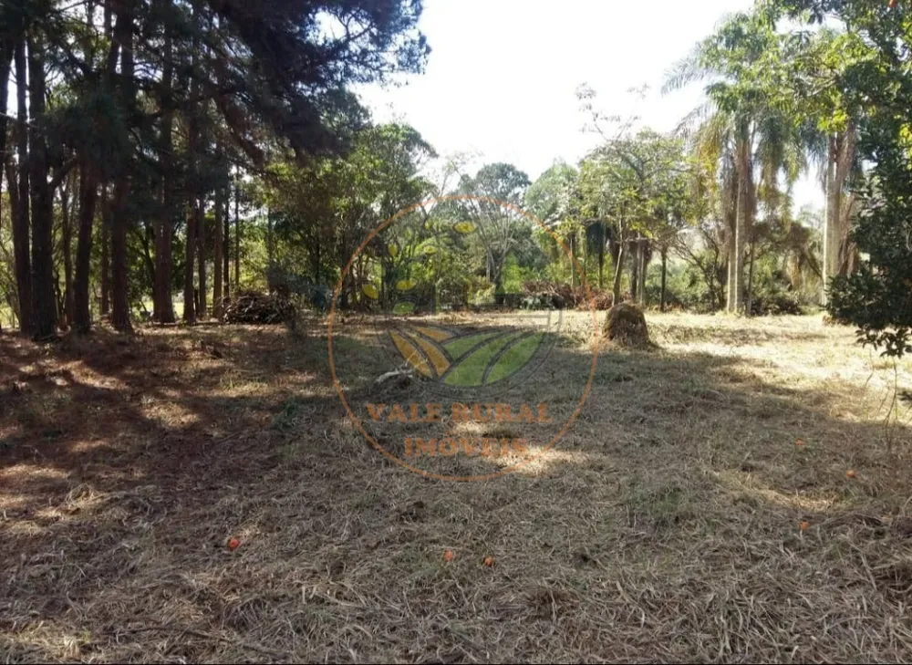Fazenda - Foto 6