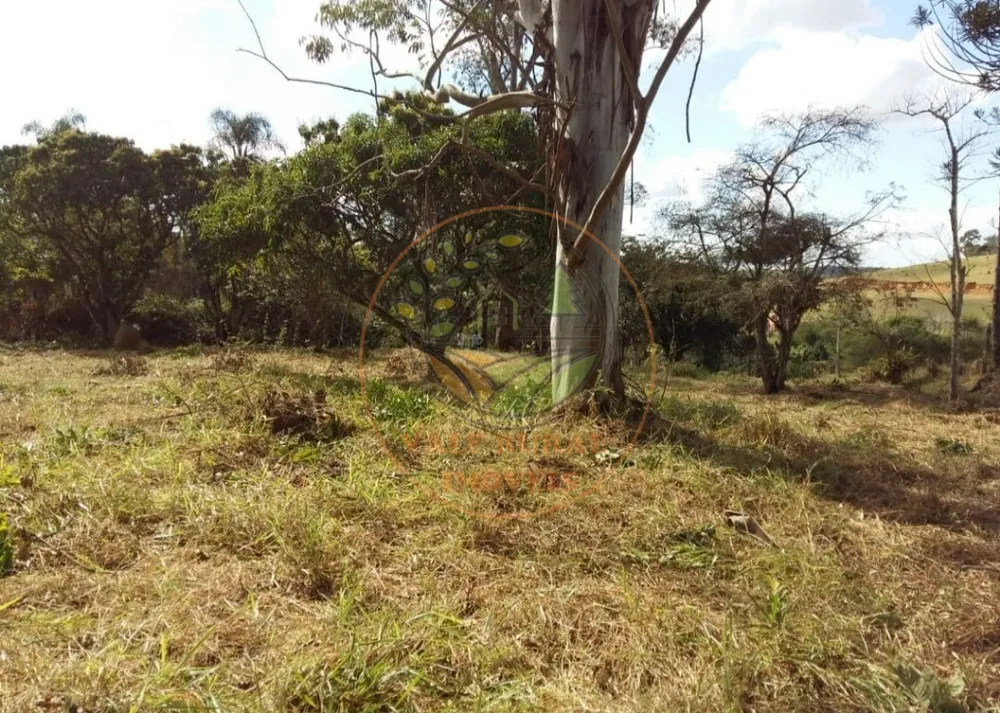Fazenda - Foto 5