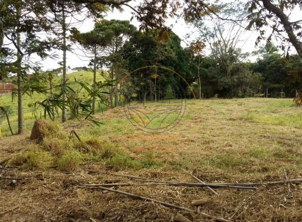 Fazenda - Foto 2