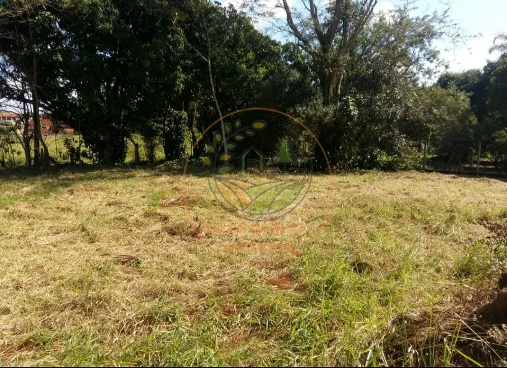 Fazenda - Foto 8