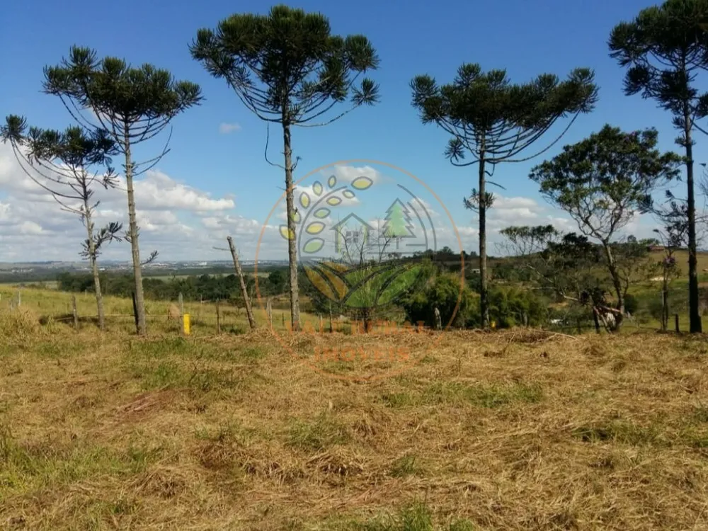 Fazenda - Foto 1