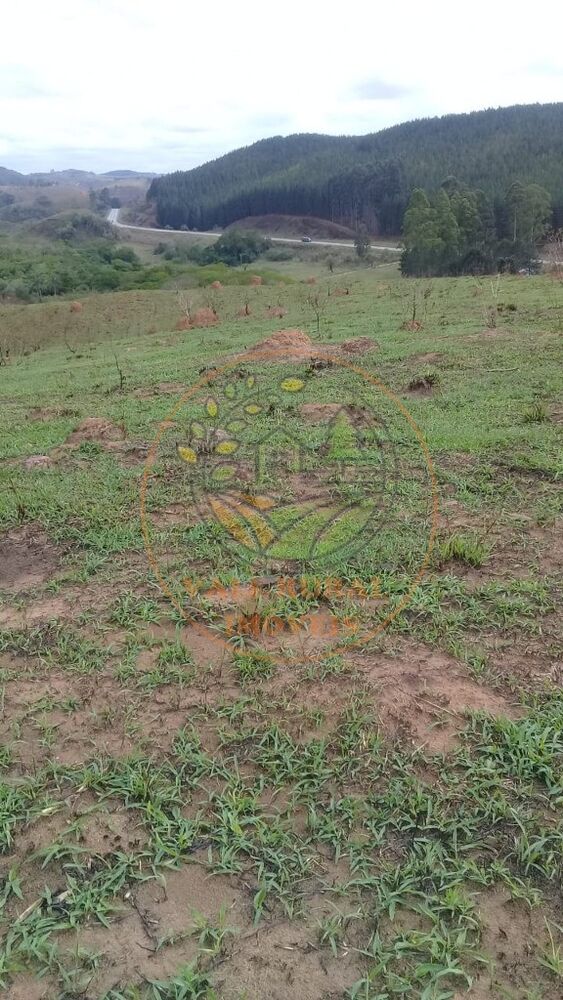 Fazenda, 1 quarto - Foto 4