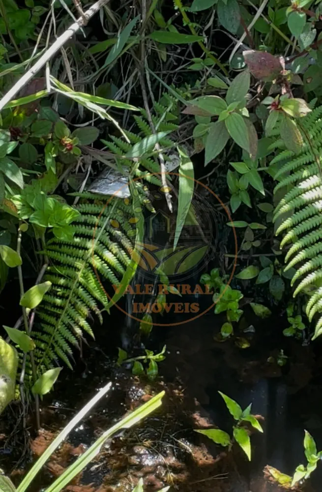 Fazenda - Foto 2