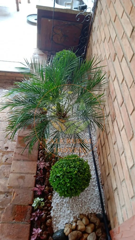 Chácara, 3 quartos - Foto 7