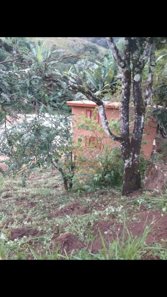 Chácara, 2 quartos, 1 hectares - Foto 4