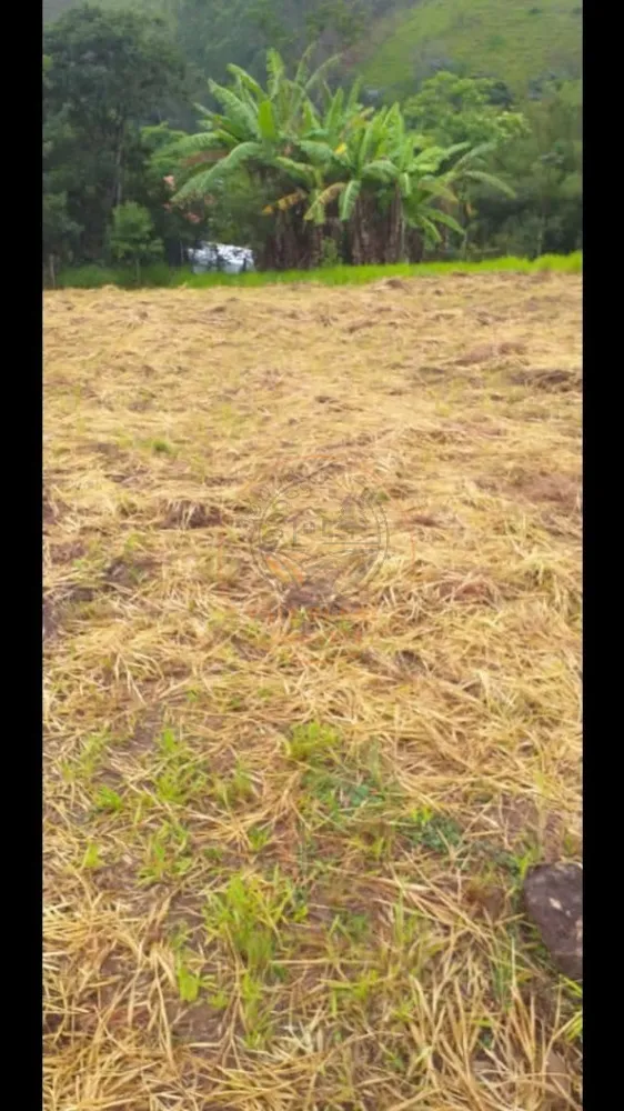 Chácara, 2 quartos, 1 hectares - Foto 6