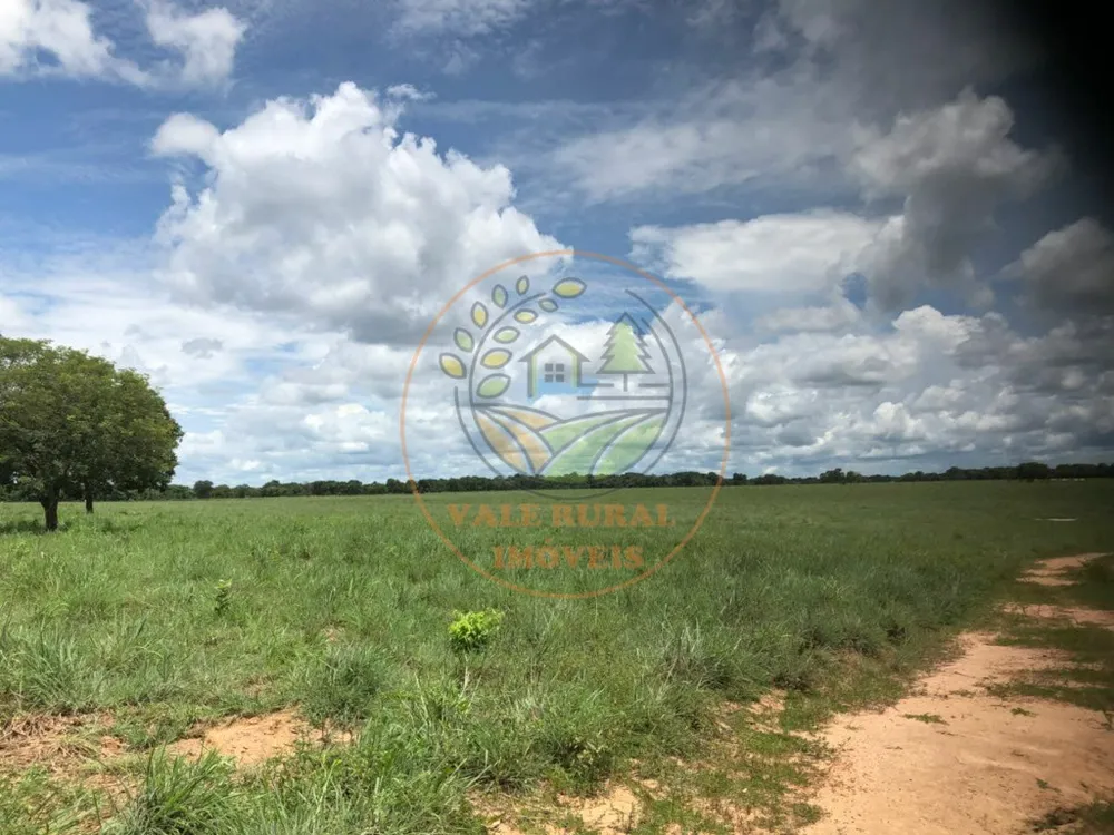 Fazenda - Foto 6