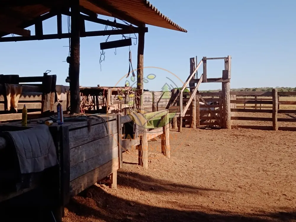 Fazenda - Foto 1