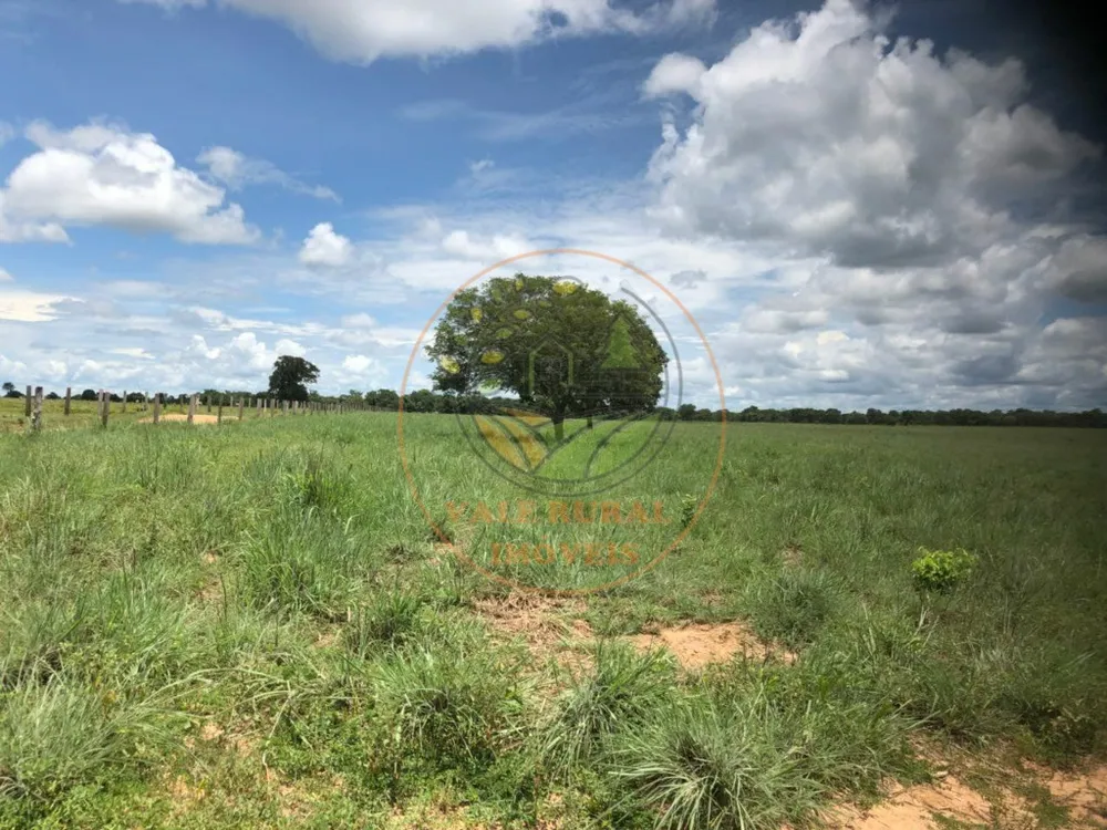 Fazenda - Foto 10