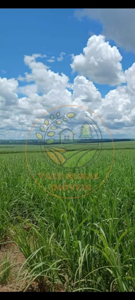 Fazenda - Foto 4