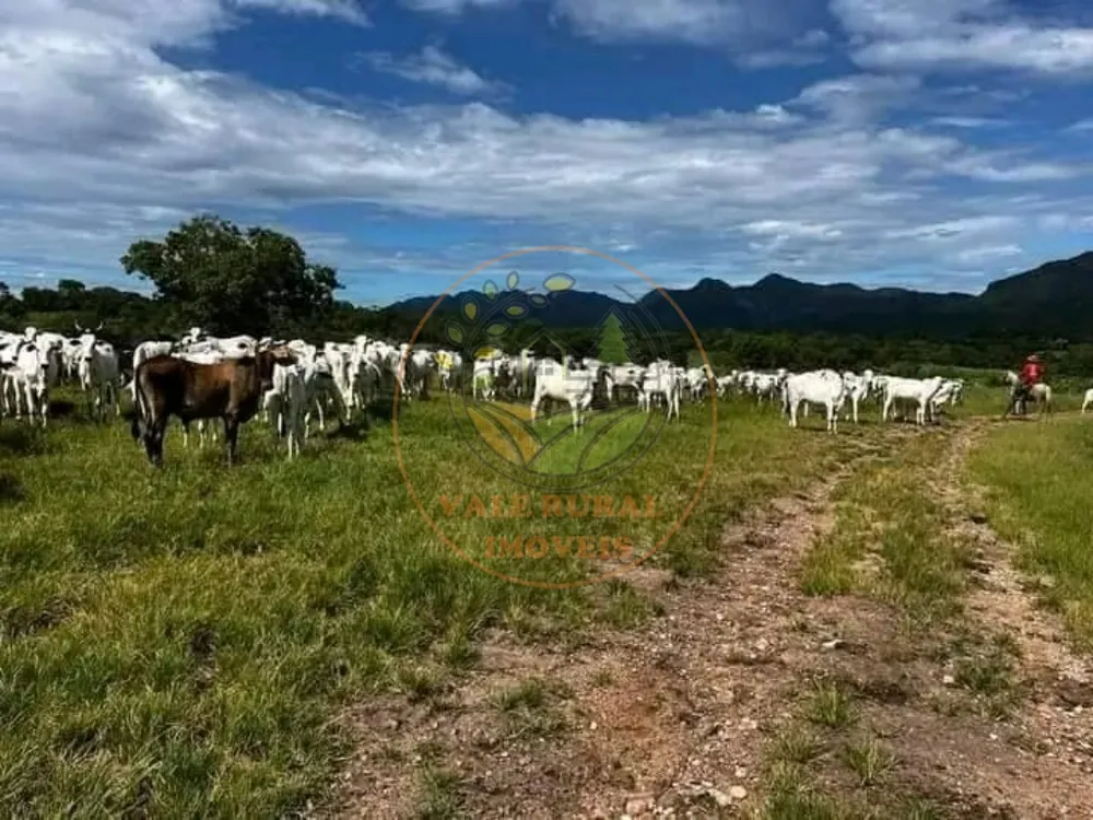 Fazenda - Foto 4