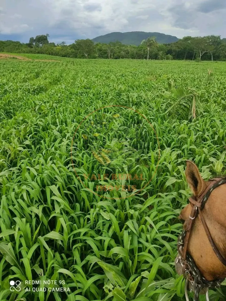 Fazenda - Foto 2