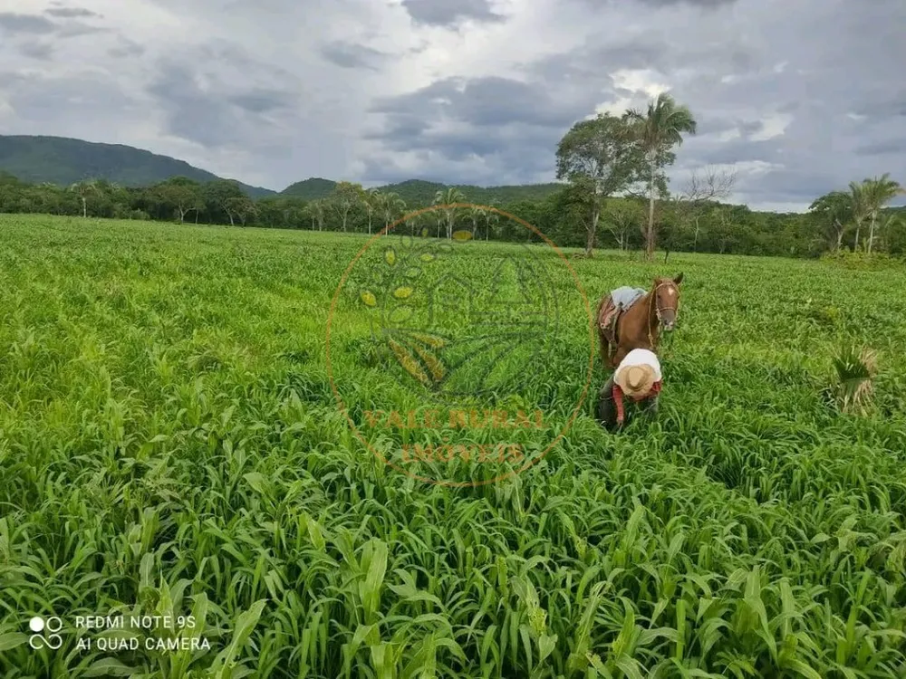 Fazenda - Foto 1