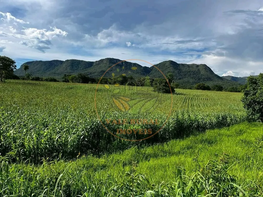 Fazenda - Foto 3