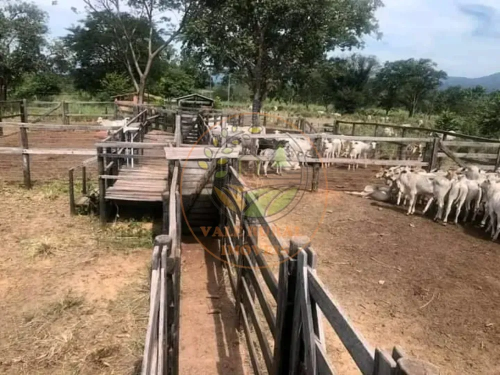 Fazenda - Foto 5