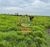 Fazenda-Sítio-Chácara, 2 hectares - Foto 15