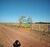 Fazenda-Sítio-Chácara, 2 hectares - Foto 12