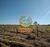 Fazenda-Sítio-Chácara, 2 hectares - Foto 17