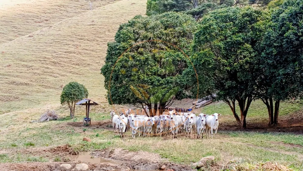 Fazenda, 2 quartos - Foto 2
