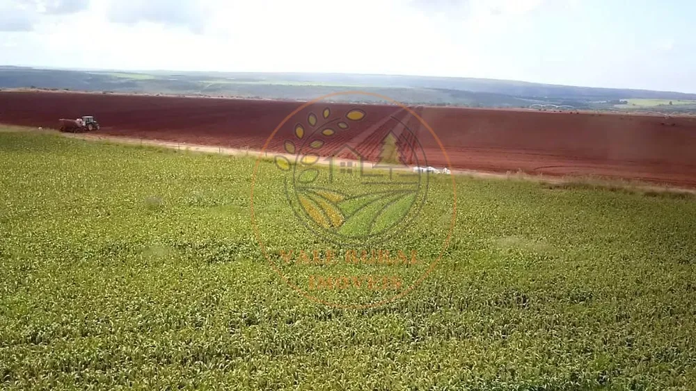 Fazenda - Foto 7
