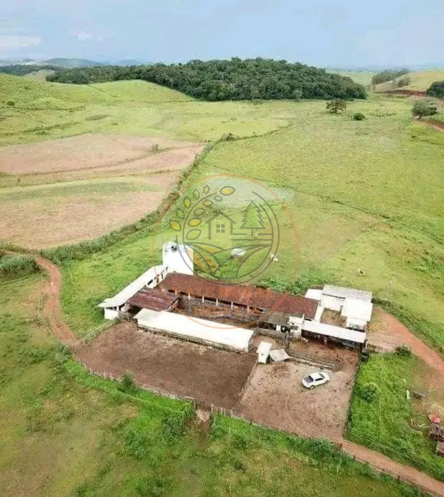 Fazenda - Foto 3