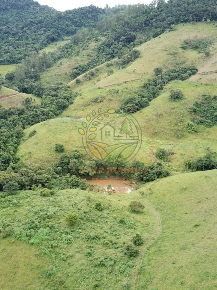 Fazenda - Foto 11