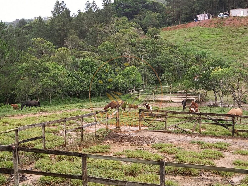 Sítio à venda com 4 quartos, 114700m² - Foto 4