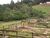 Sítio, 4 quartos, 11 hectares - Foto 4