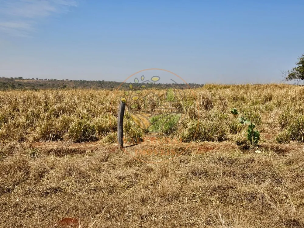 Fazenda, 2 quartos - Foto 6