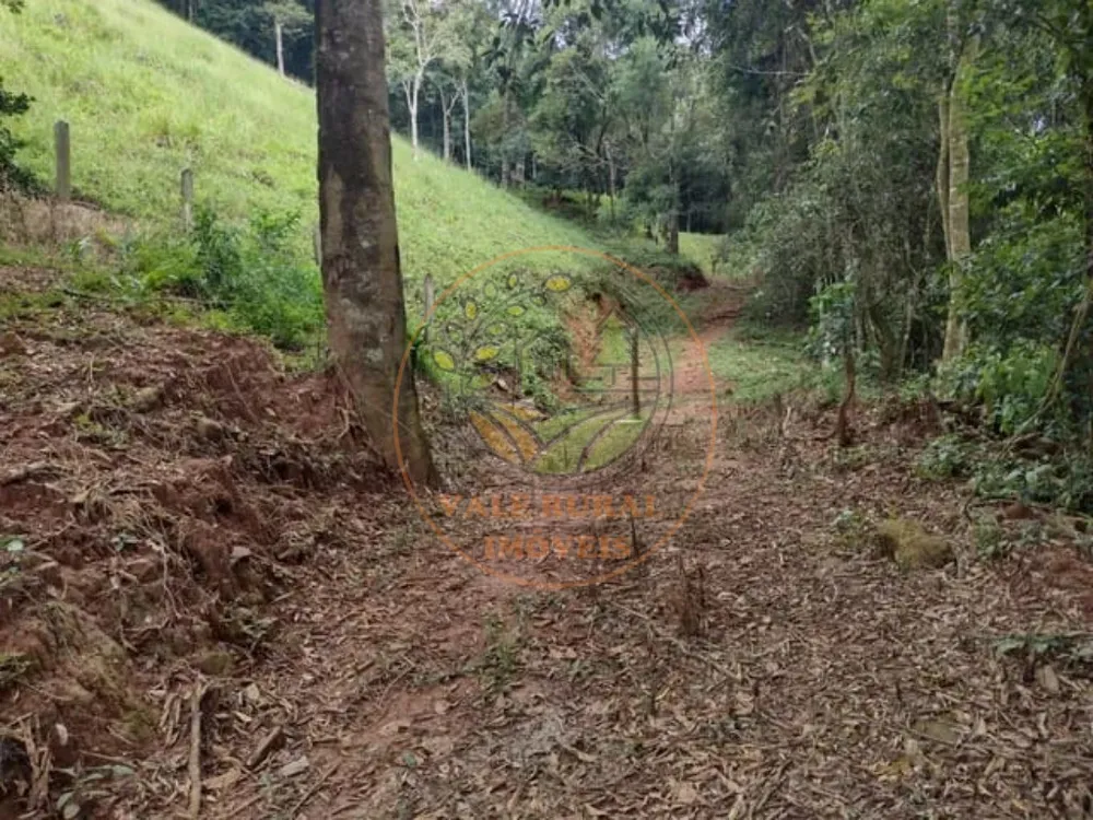 Chácara, 3 quartos - Foto 5