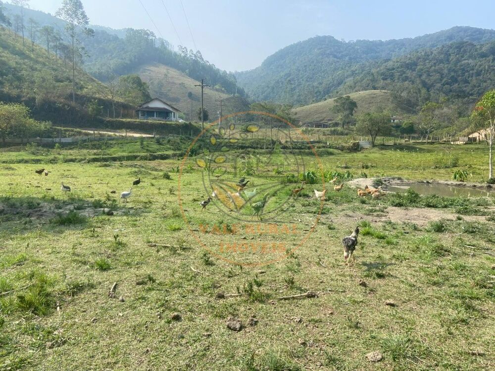 Chácara, 3 quartos - Foto 3