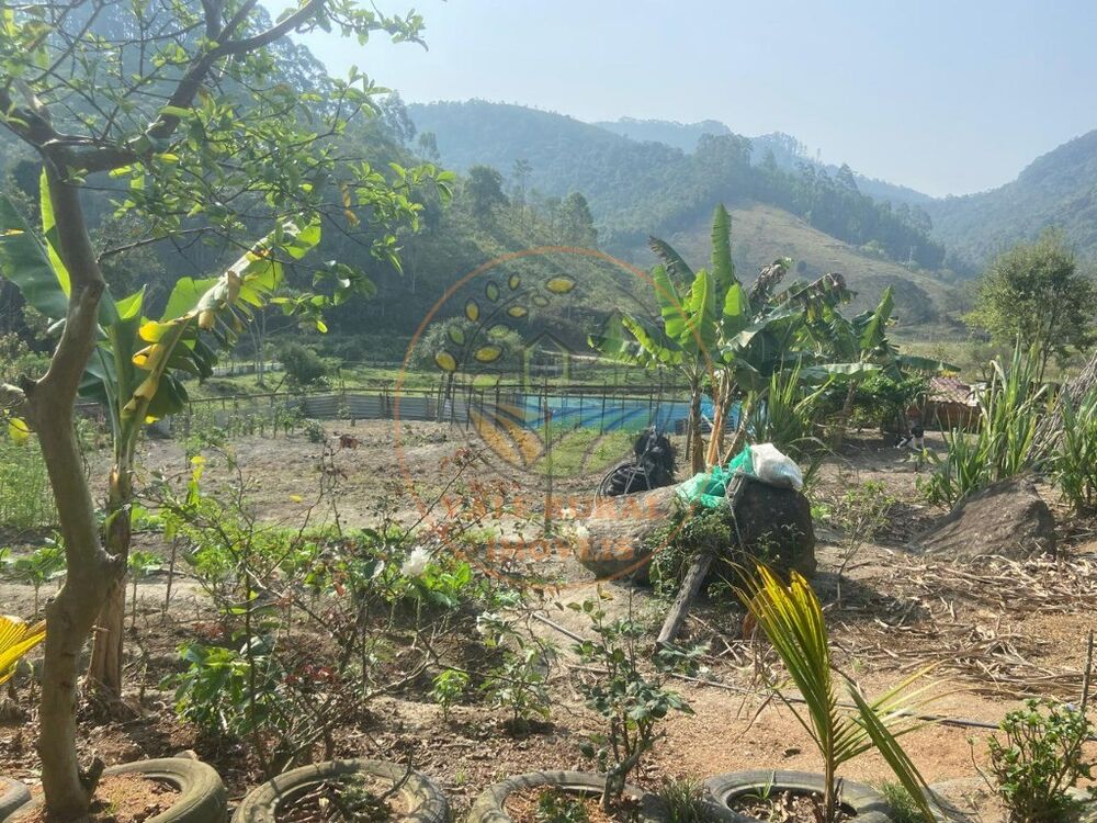 Chácara, 3 quartos - Foto 2