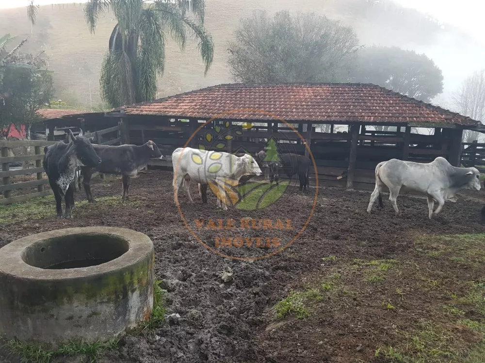 Sítio, 3 quartos, 14 m² - Foto 10