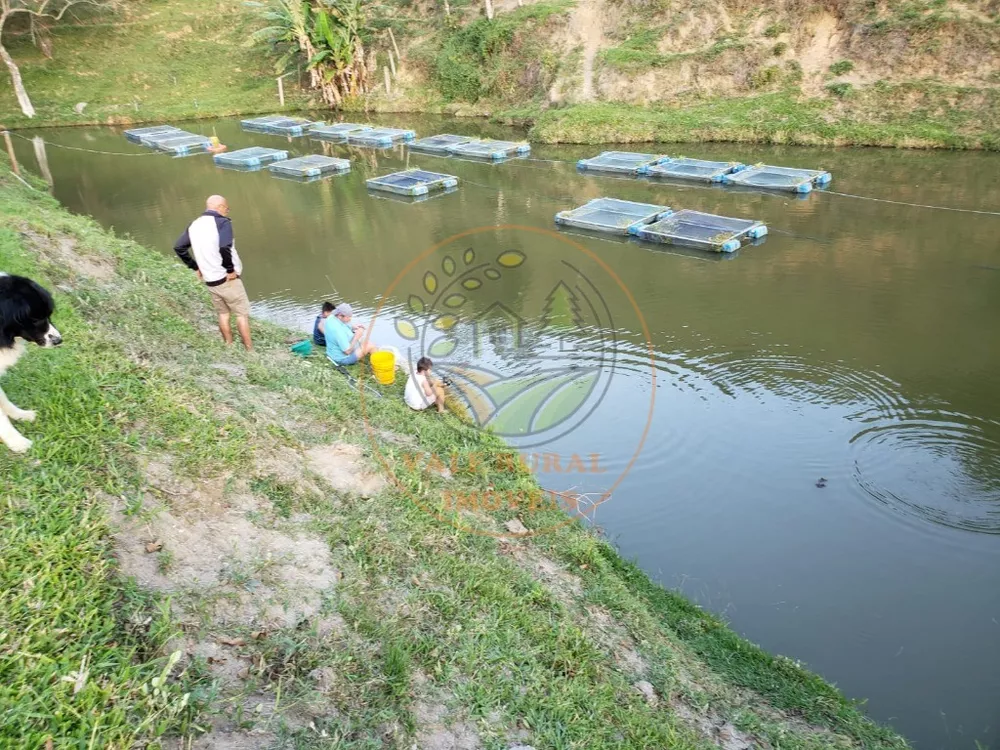 Sítio, 3 quartos, 14 m² - Foto 4