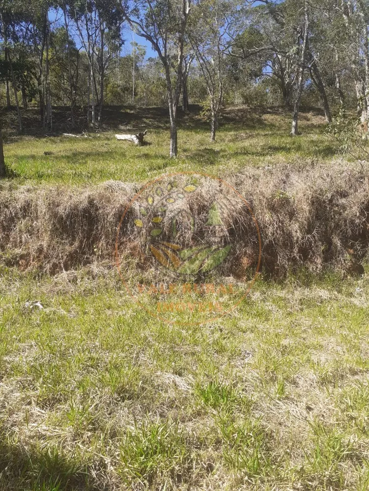 Haras e Área Rural Padrão à venda, 21000m² - Foto 4