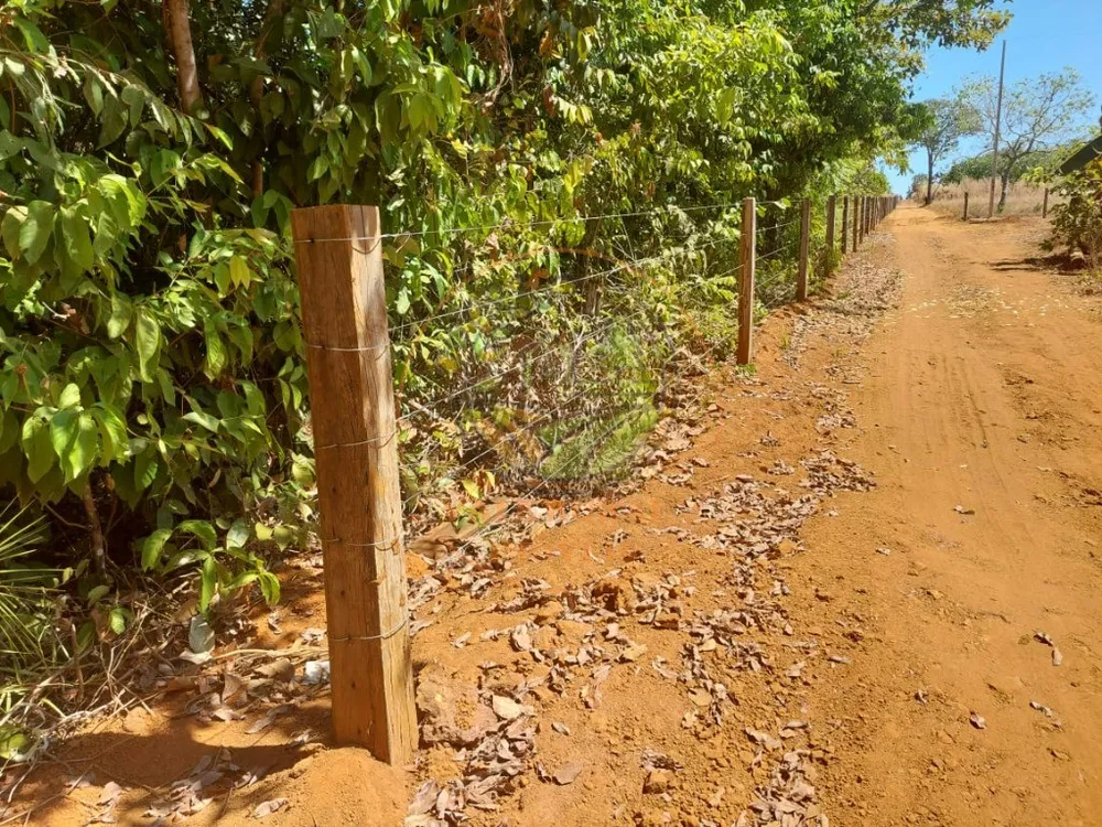 Fazenda - Foto 6
