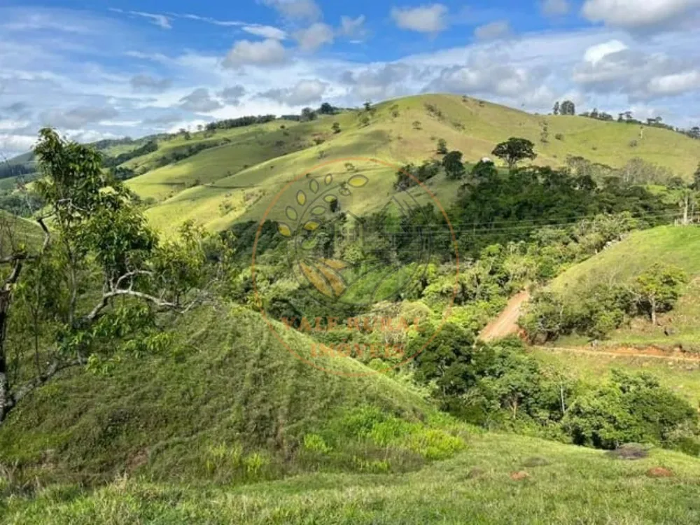 Fazenda - Foto 5