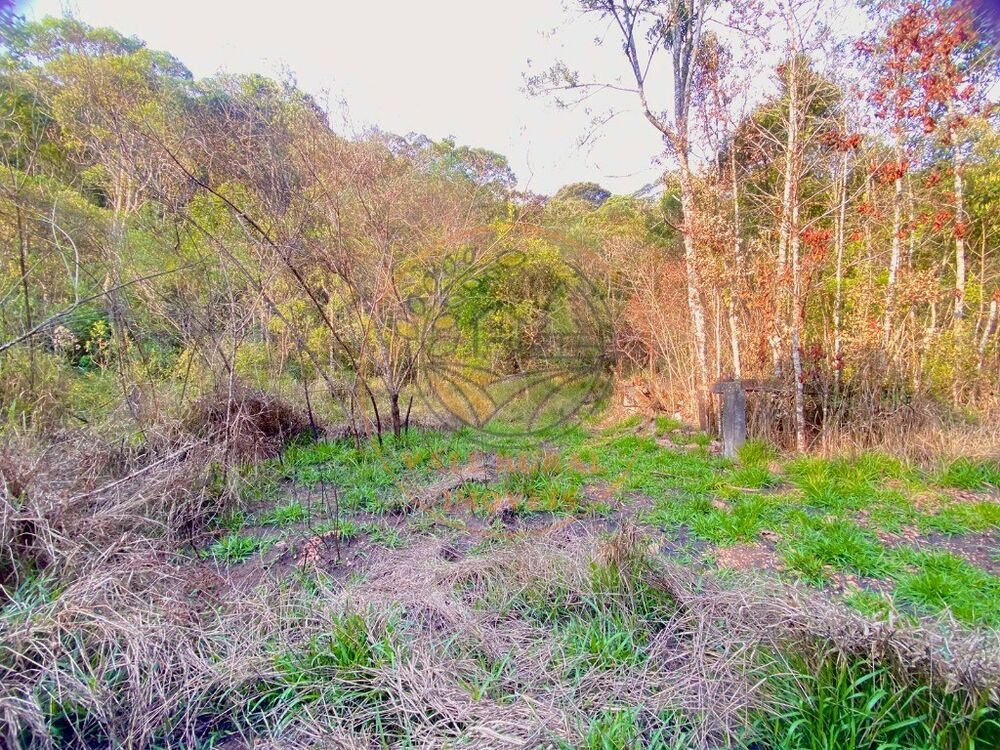 Fazenda - Foto 2