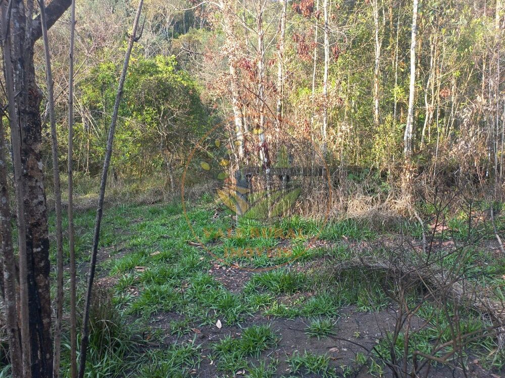 Fazenda - Foto 8