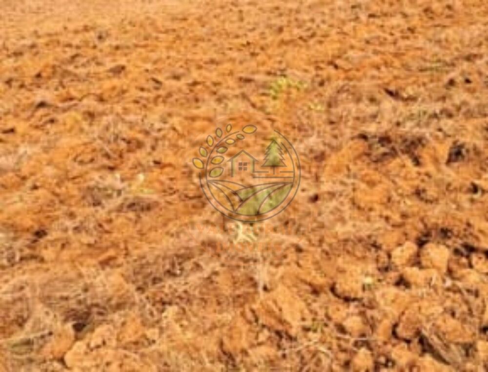 Sítio, 2 quartos, 25 m² - Foto 4