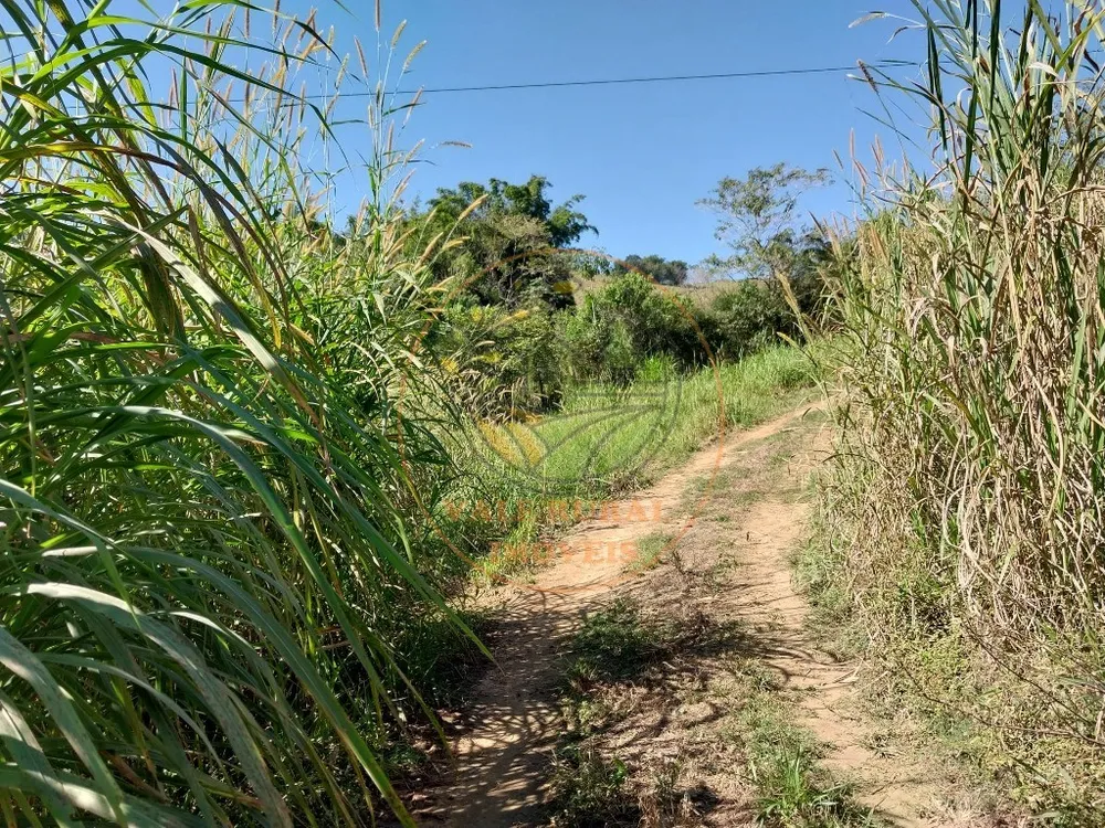 Fazenda - Foto 2
