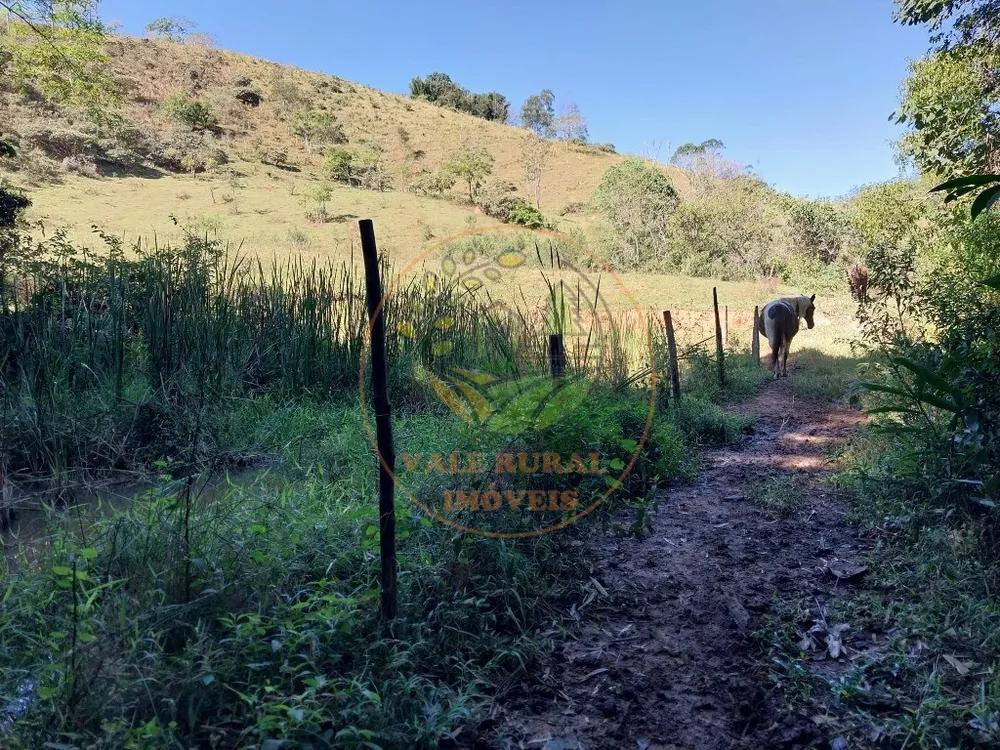 Fazenda - Foto 6