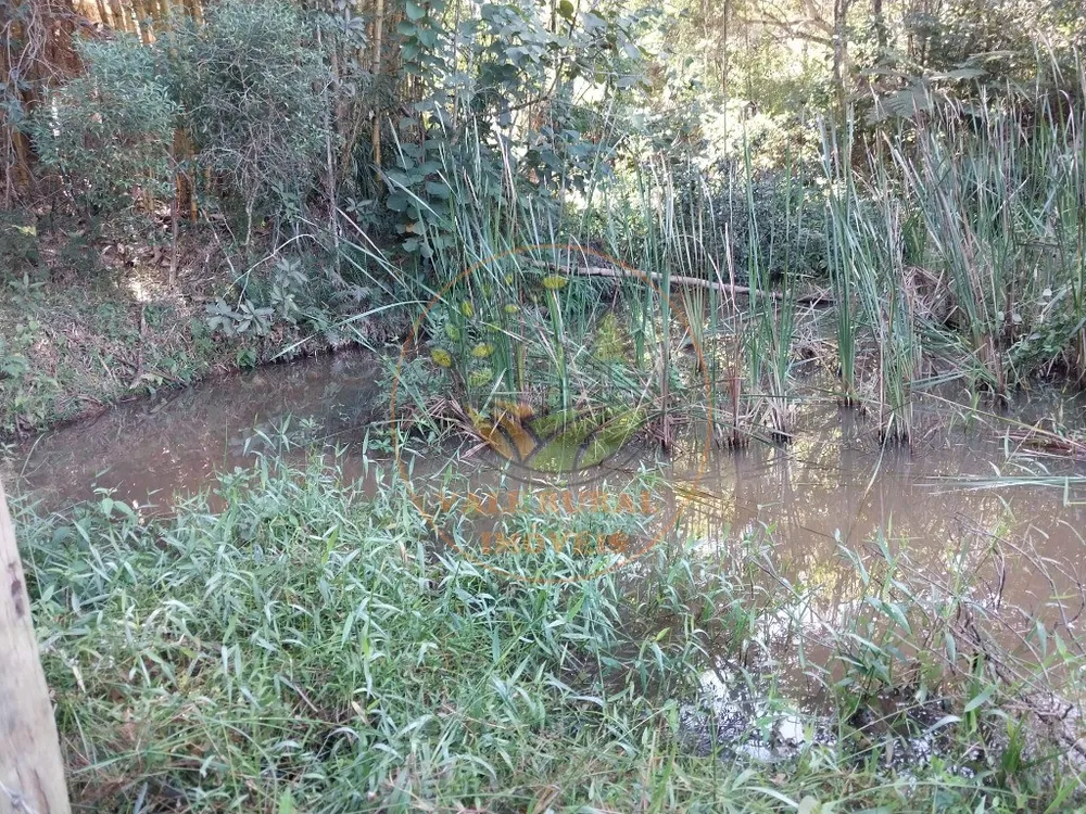 Fazenda - Foto 4