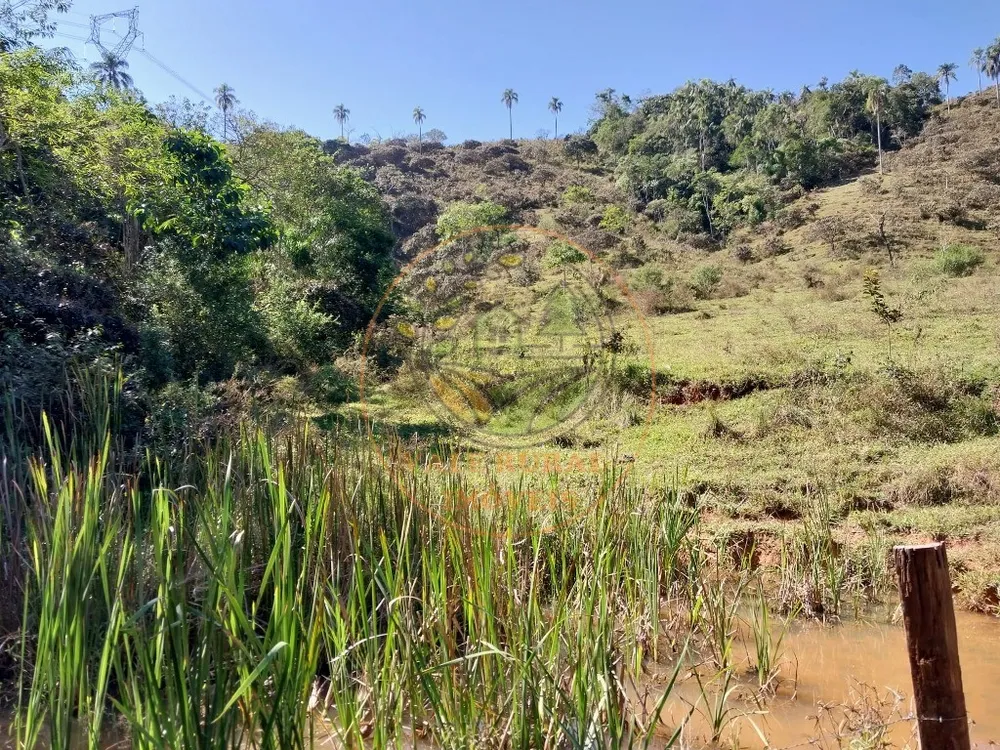 Fazenda - Foto 5