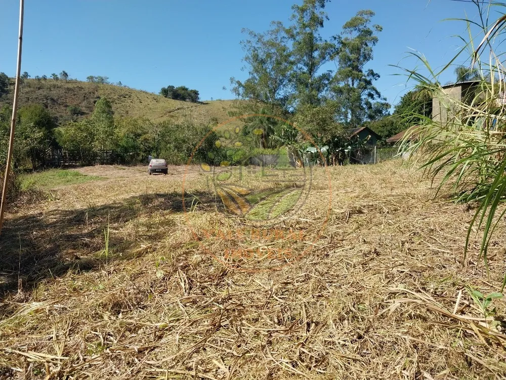 Fazenda - Foto 8